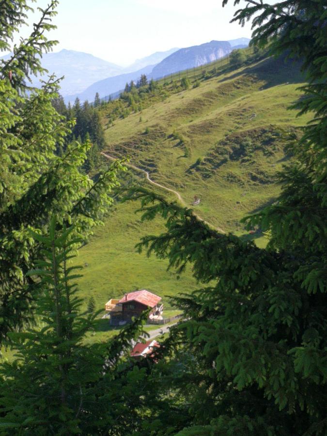 Almhuette Andrea Holiday home Wildschoenau